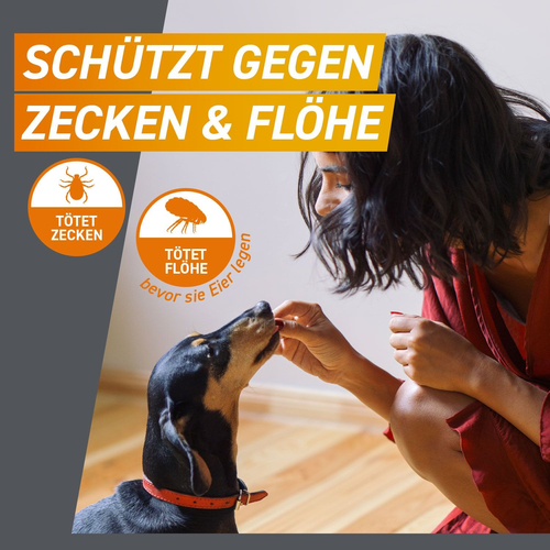 Frontpro Chew Hunde S Vet 3 St Boehringer Ingelheim Vetmedica Gmbh bei onfy.de kaufen 18654280