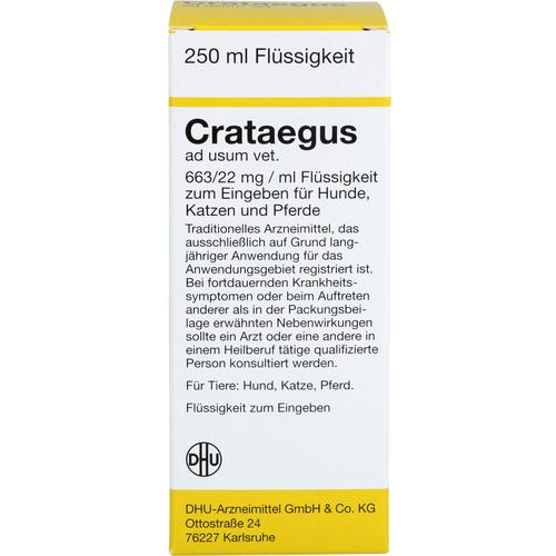 Crataegus Ad Usum Vet 250 ml Dhu-Arzneimittel Gmbh & Co. Kg bei onfy.de kaufen 02728243