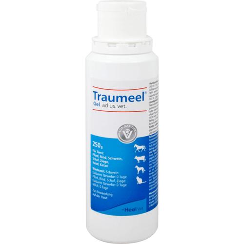 Traumeel Gel Ad Us Vet 1x250 g Biologische Heilmittel Heel Gmbh bei onfy.de kaufen 11013454