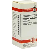 Syzygium Jamb D 4 null