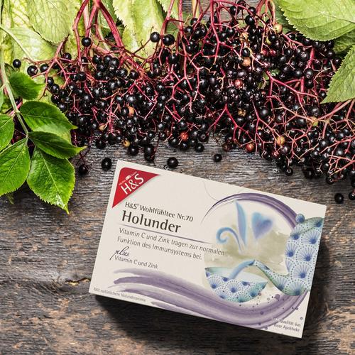 H&S Holunder mit Vitamin C und Zink 20x2.5 g H&S Tee - Gesellschaft bei onfy.de kaufen 17454337