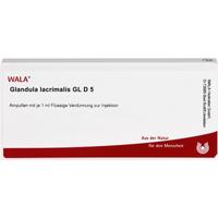 Glandula Lacrimalis Gl D 5 null