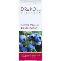 Gemmo-Mazerat Heidelbeere Dr. Koll Vacci.myrtillus null