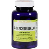 Schachtelhalm-Kapseln null