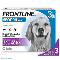 Frontline Spot On H 40 Vet null