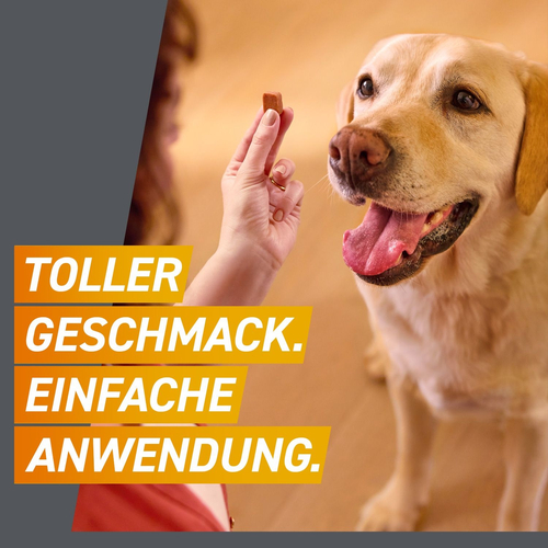 Frontpro Chew Hunde S Vet 3 St Boehringer Ingelheim Vetmedica Gmbh bei onfy.de kaufen 18654280