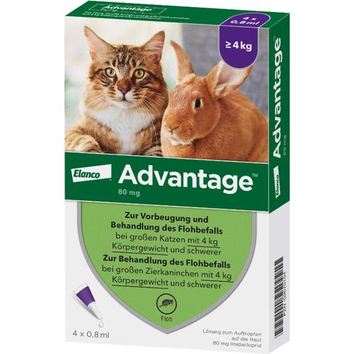 Advantage 80mg Katz+Zierka 4x0.8 ml Elanco Deutschland Gmbh bei onfy.de kaufen 09670104