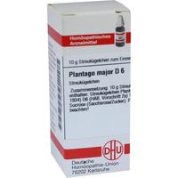 Plantago Major D 6 null