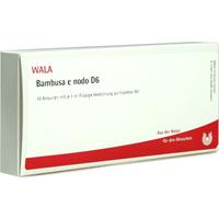 Bambusa E Nodo D 6 null