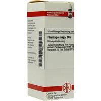 Plantago Major D 6 null
