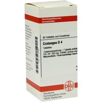 Crataegus D 4 null