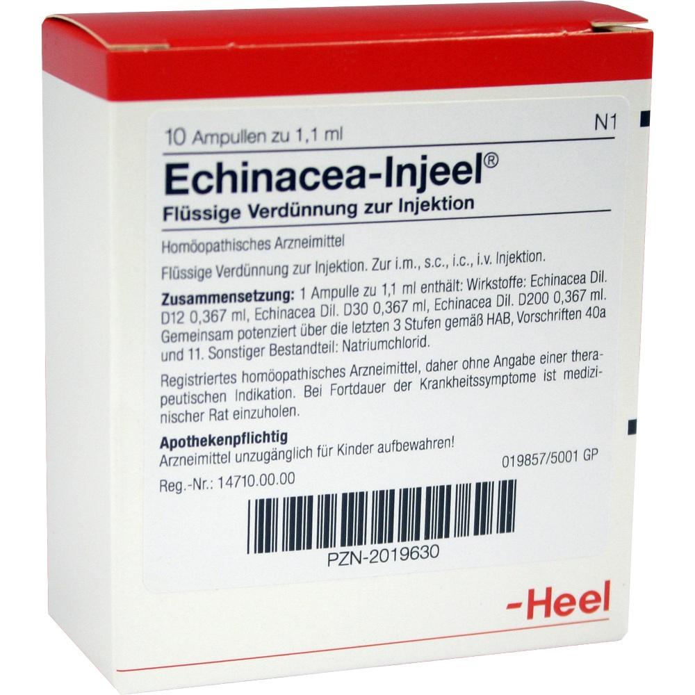 Echinacea Injeel null