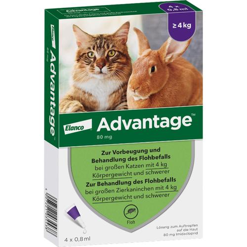 Advantage 80mg Katz+Zierka 4x0.8 ml Elanco Deutschland Gmbh bei onfy.de kaufen 09670104