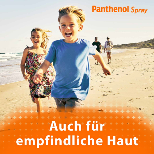 Panthenol 130 g Dr. Gerhard Mann bei onfy.de kaufen 04020784