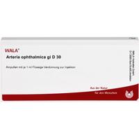 Arteria Ophthalmica Gl D30 null