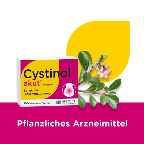 Cystinol akut bei akuter unkomplizierter Blasenentzündung & Harnwegsinfektionen 100 St MEDICE Arzneimittel Pütter bei onfy.de kaufen 07126744