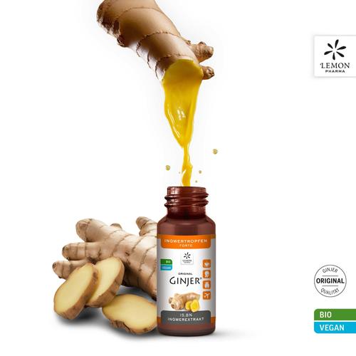 Ingwer Ginjer Forte Tropfen 20 ml Hager Pharma bei onfy.de kaufen 10810800