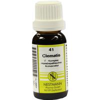 Clematis F Kompl 41 null