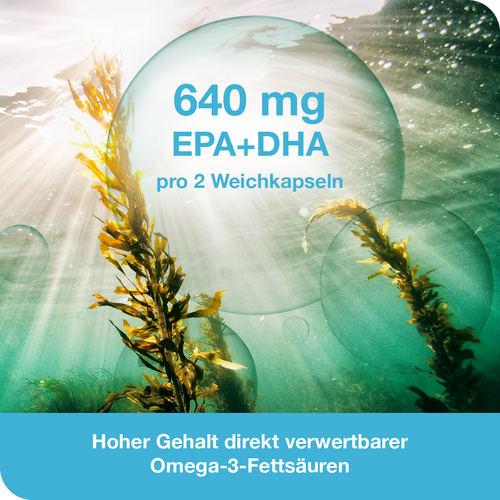2x Omega3-Loges pflanzlich 120 St bei onfy.de kaufen 2000000000398