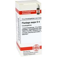Plantago Major D 4 null