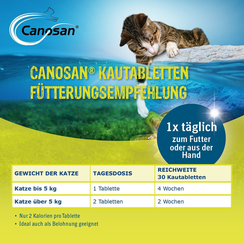 Canosan Katze Vet 30 St Boehringer Ingelheim VETMEDICA bei onfy.de kaufen 05527321