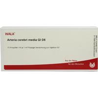 Arteria Cerebri Med Gl D 5 null
