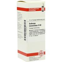 Bothrops Lanceolat D60 null