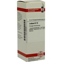 Ledum D12 null