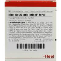 Musculus Suis Inj Fo Org null