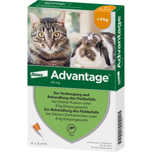 Advantage 40mg Katz+Zierka 4x0.4 ml Elanco Deutschland Gmbh bei onfy.de kaufen 09670096