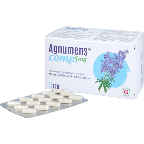 Agnumens Comp 4 mg 120 St Hecht-Pharma bei onfy.de kaufen 19808176