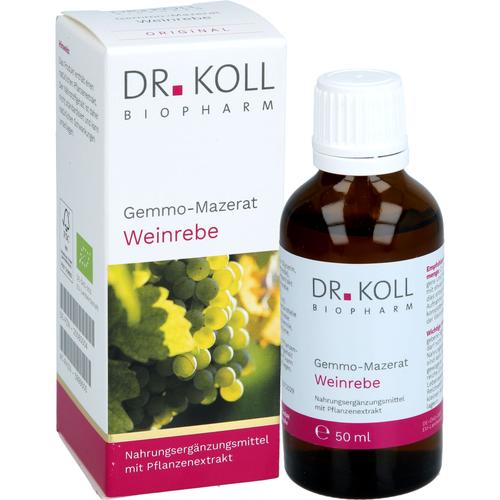 Gemmo-Mazerat Weinrebe Dr. Koll Vitis Vinifera 50 ml Dr. Koll Biopharm bei onfy.de kaufen 20060004