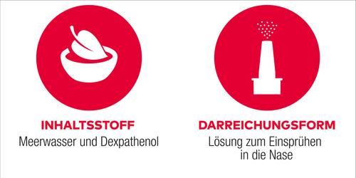 Meerwasser Al Plus Nasenspray 20 ml ALIUD Pharma bei onfy.de kaufen 17844771