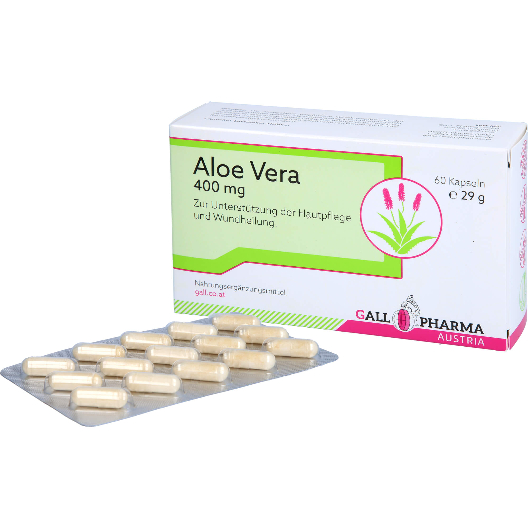 aloe vera pflanze angebot Aloe Vera Barbadensis (Alter 5-6 Jahre)  Secret Garden Plant Shop