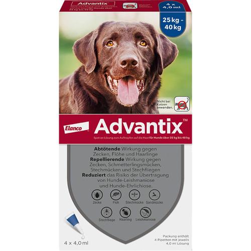 Advantix Spot-On Hund25-40 4x4.0 ml Elanco Deutschland Gmbh bei onfy.de kaufen 13814299