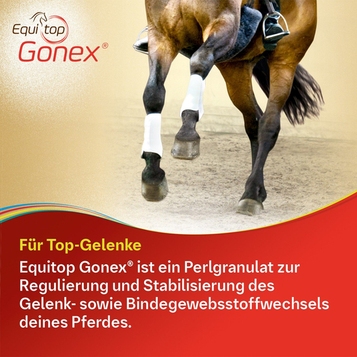 Equitop Gonex Vet 750 g Boehringer Ingelheim VETMEDICA bei onfy.de kaufen 00589748