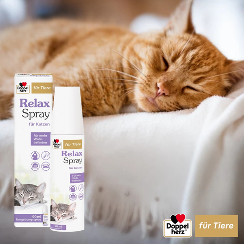 Doppelherz für Tiere Relaxspray für Katzen 90 ml Queisser Pharma bei onfy.de kaufen 18404689
