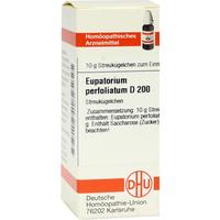 Eupatorium Perf D200 null