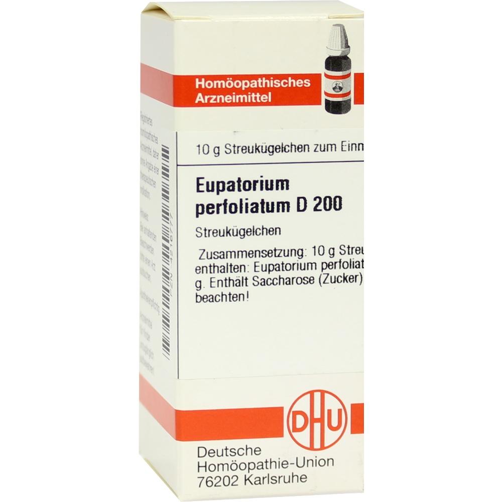 Eupatorium Perf D200 null