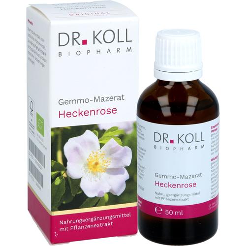 Gemmo-Mazerat Heckenrose Dr. Koll Rosa Canina 50 ml Dr. Koll Biopharm bei onfy.de kaufen 20059969