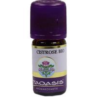 Cistrose Oel Bio null