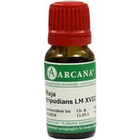 Naja Tripudians Arca Lm 18 null