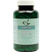 Lactase 4000 Fcc null