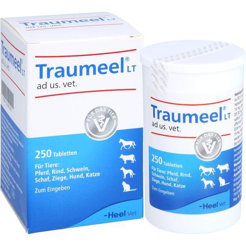 Traumeel Lt Ad Us Vet 250 St Biologische Heilmittel Heel Gmbh bei onfy.de kaufen 15300328