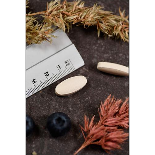 Msm & Glucosamin 100 % Vegetarisch Kal 60 St Supplementa bei onfy.de kaufen 17214952