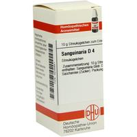 Sanguinaria D 4 null