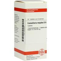 Convallaria Majal D 6 null