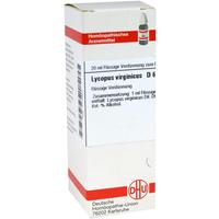 Lycopus Virg D 6 null