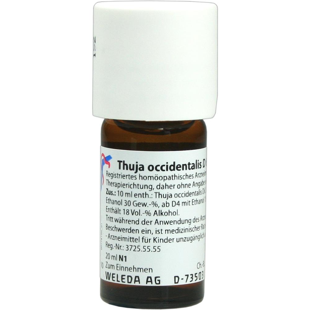 Thuja Occid D 6