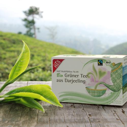 H&S Bio Grüner Tee aus Darjeeling 20x2 g H&S Tee - Gesellschaft bei onfy.de kaufen 17442512